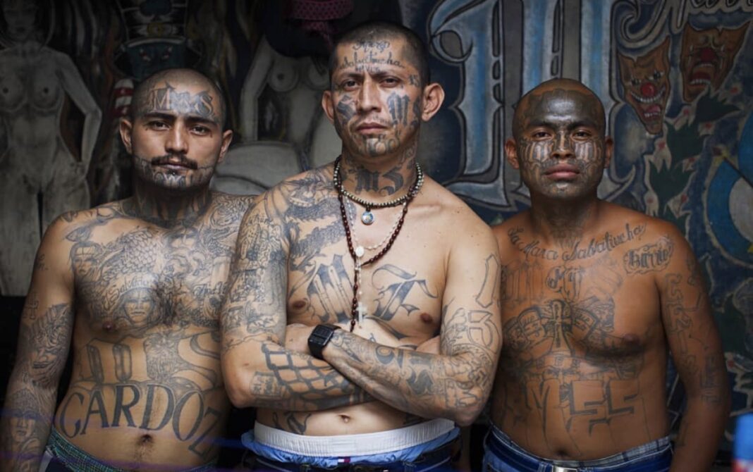 President Trump Announces Arrest Of Ms 13 Leaders Canyon News 